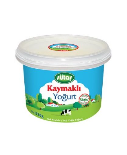 SUTAS 1750GR YOGURT KAYMAKLI. ürün görseli